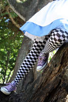 Down the Rabitt hole by princessaeris