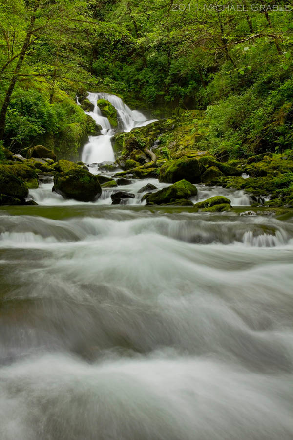 Trailblazers by 11thDimensionPhoto