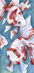 Two Ryukins by ursulav