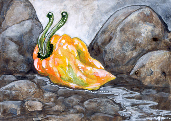 Habenero Slug by ursulav