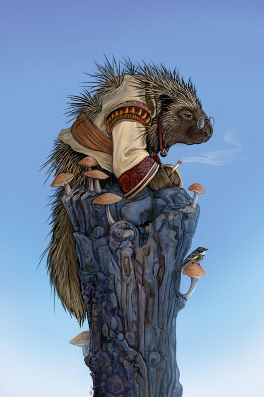 Elder Porcupine by ursulav
