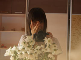 not chamomile by Sidorova