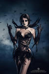 Corvus by Elisanth