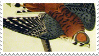 American Sparrow Hawk Audubon Stamp by gullaxy