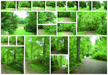 Der Schattenweg II by AeWolf
