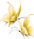 Beautiful butterfly by vanessyca71