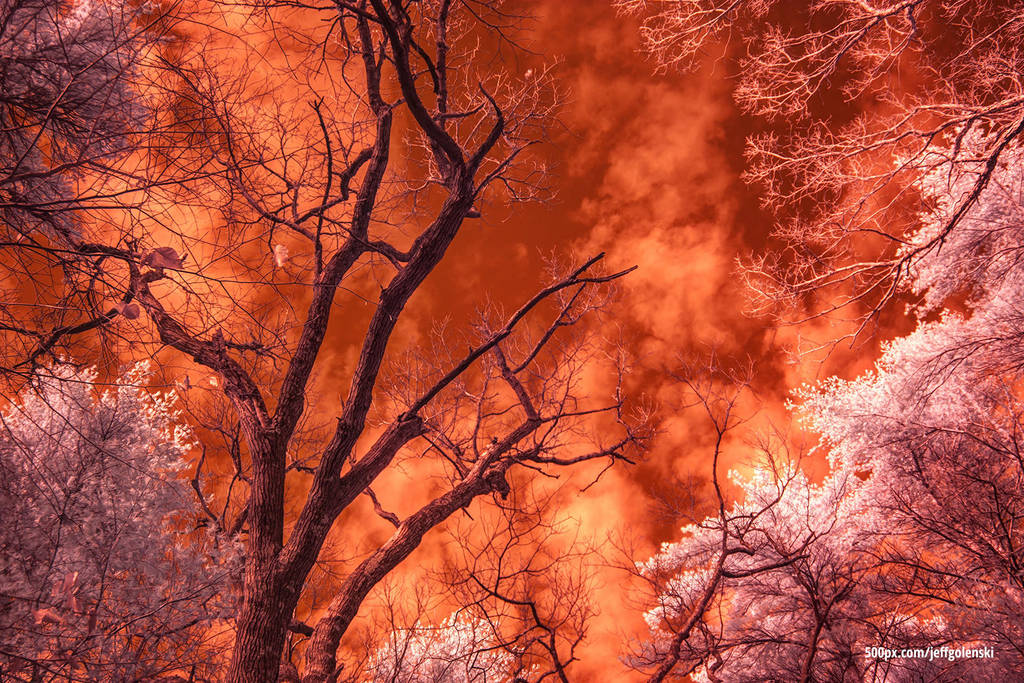 A whole new spectrum of light (infrared) by maverick3x6
