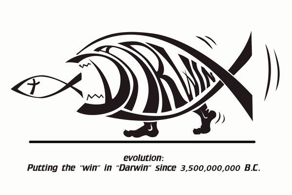 Putting the win in Darwin by sethness