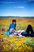 Howl and Sophie by Shiya