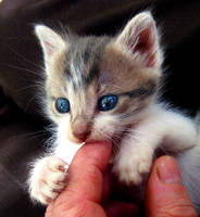 My little angel by desertsun