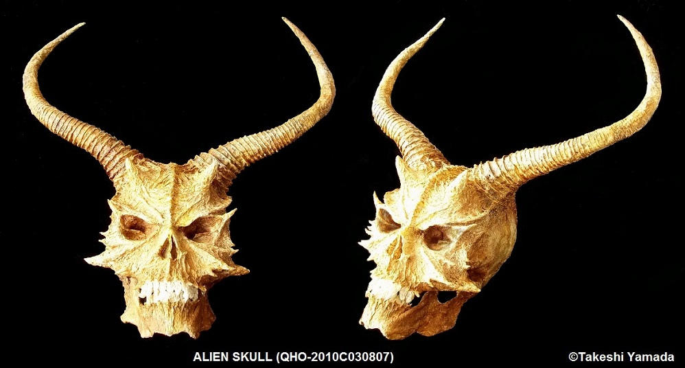 SPACE ALIEN SKULL by Dr. Takeshi Yamada by searabbit23