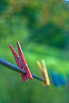 Colors of Romania by Lucy-art