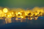 City of Gold by thealchemistchamber