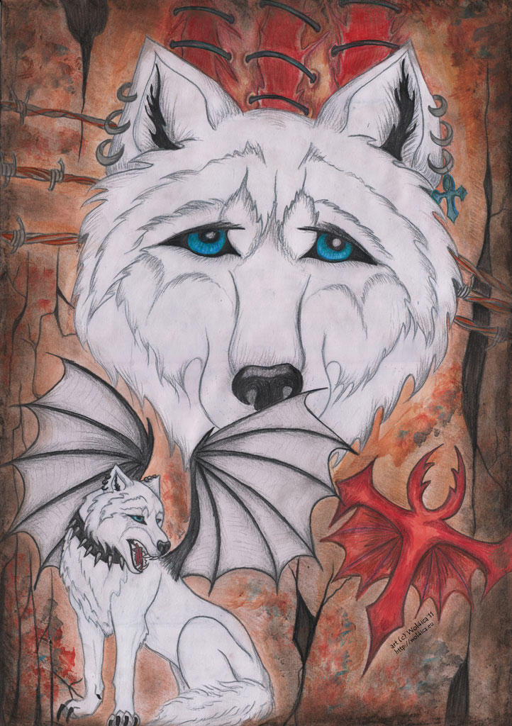 Stray by Wol4ica