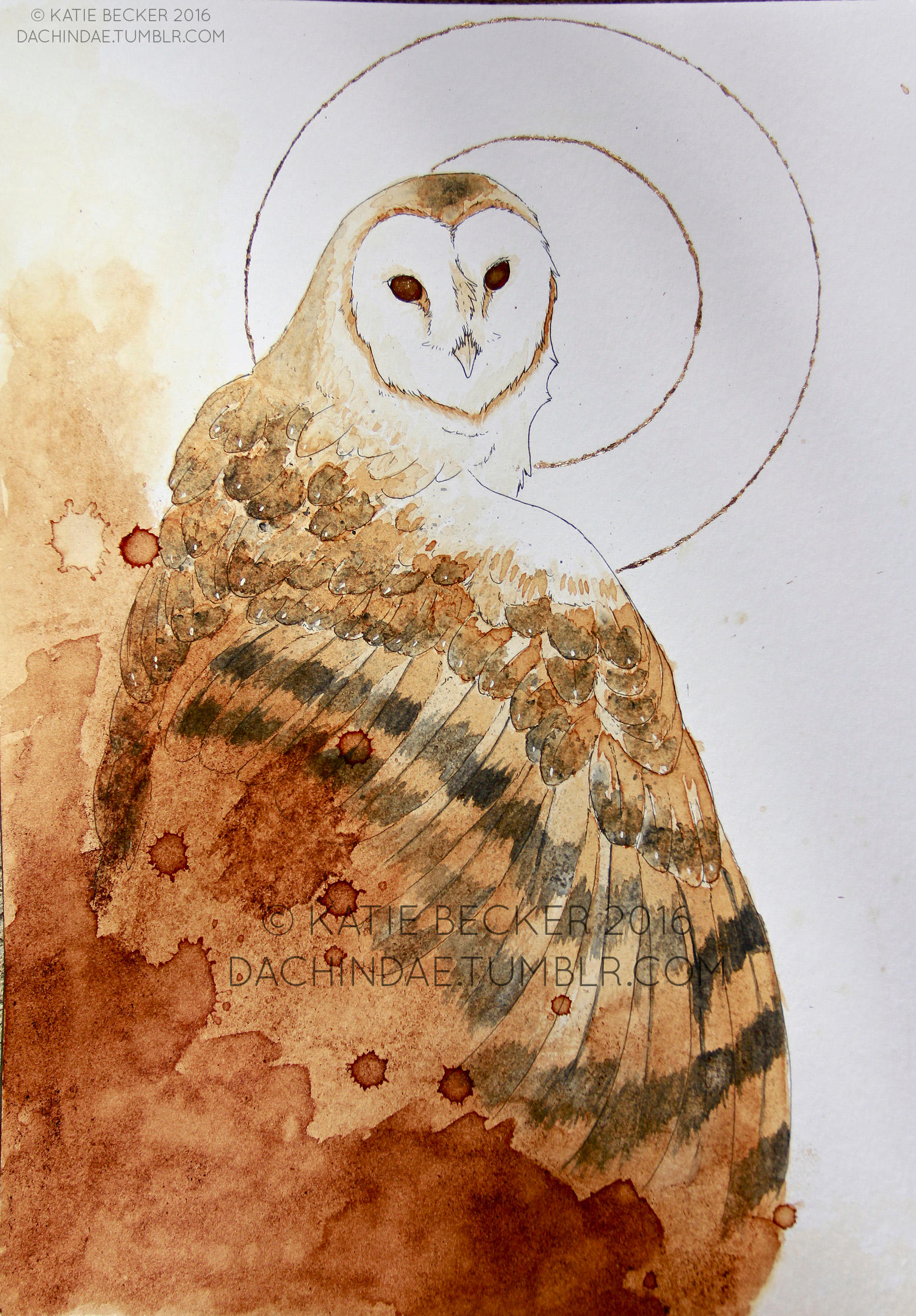 Coffee Owl by Dachindae