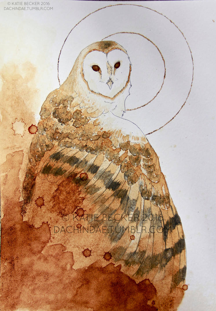 Coffee Owl by Dachindae