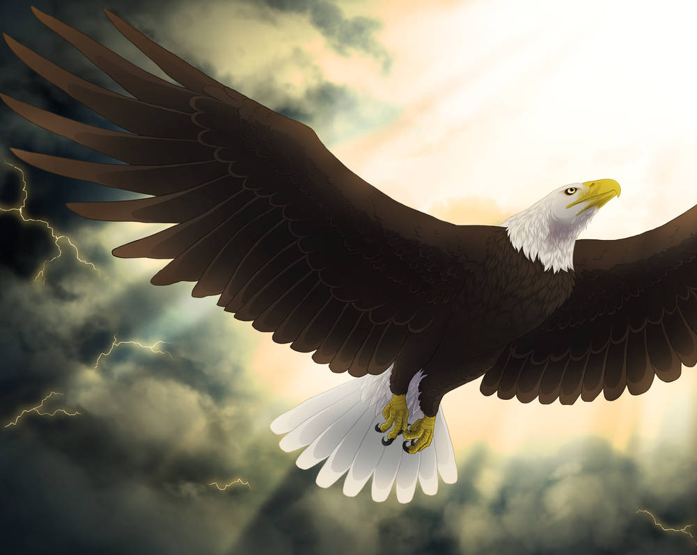 (C) Eagle Album Cover
