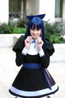 CHOMP by daydreamernessa