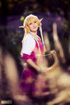 Legend of Zelda : Smile! by Shappi