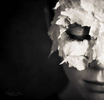 hush by ElisabethAnna