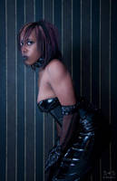 Untamed by BlackRoomPhoto