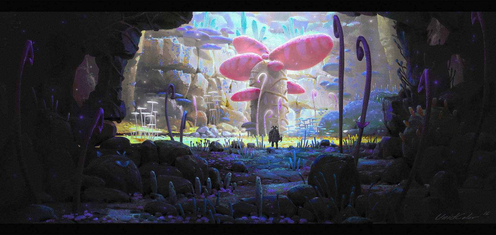 Explorer by UnidColor