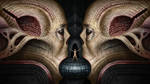 confronted by AlMaNeGrA