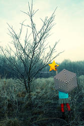 I'll wish upon a star by Yallume