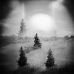 The Wild Country by JillAuville
