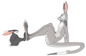 Told you mine were bigger by MaskedHusky