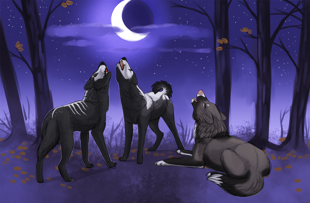 Midnight Howl by little-owlette