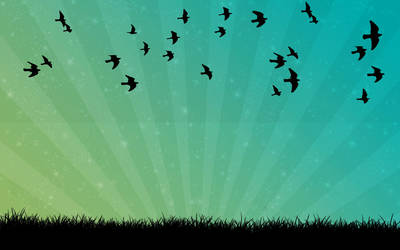 Vector with birds by FDQ