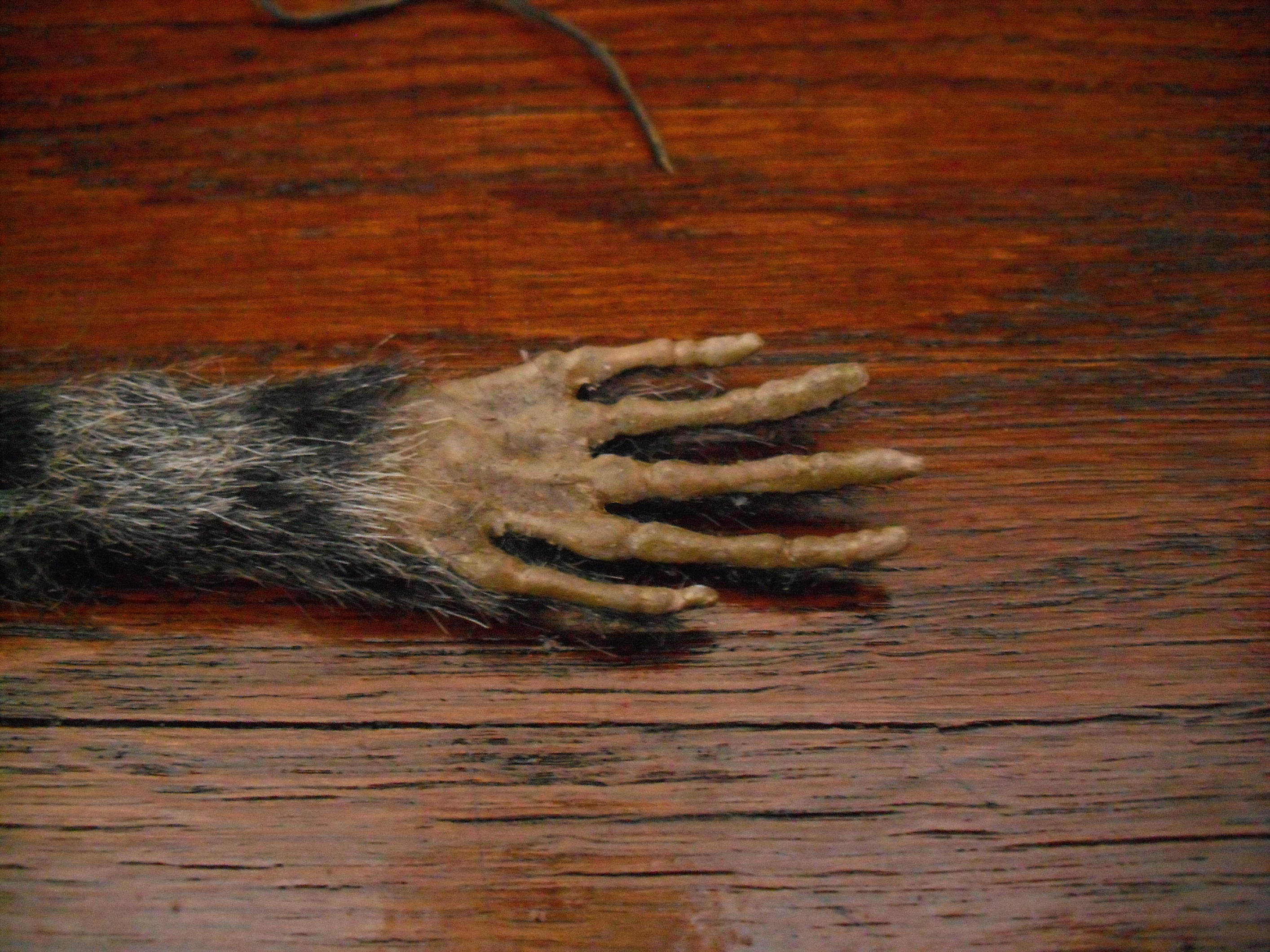 real monkey paw
