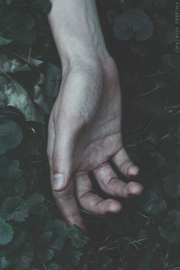 Hushed Herbs by NataliaDrepina