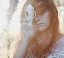 Seeking of the Light by NataliaDrepina