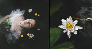 Diptych: Water Flower by NataliaDrepina
