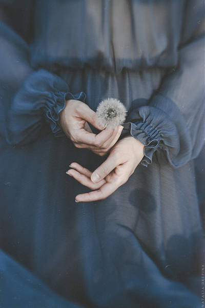 The seeds of wind by NataliaDrepina