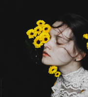 Autumn Chrysanthemum by NataliaDrepina