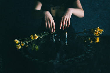 Dark Mirror by NataliaDrepina