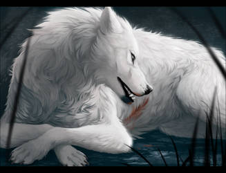 DotW - Scars by OneMinuteSketch