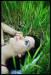 Wild Dreams III by LostintheAsylum
