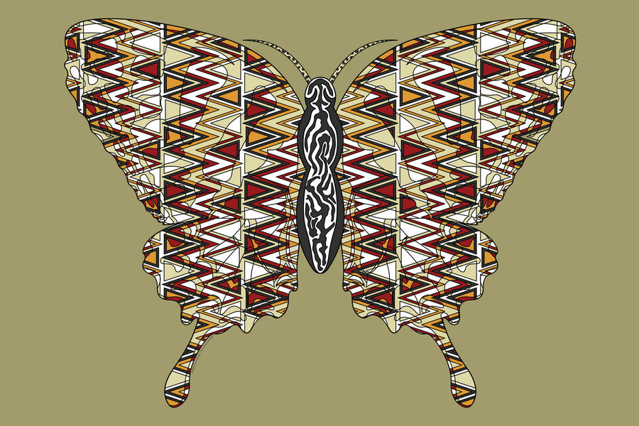 African Swallowtail by vhartley