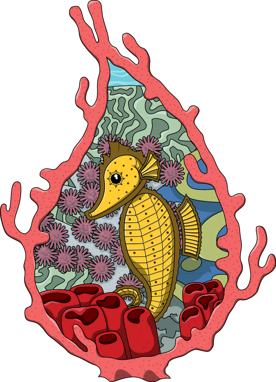 Tanga the Seahorse by vhartley