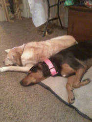 Jake and Deja by maciemarieturner555
