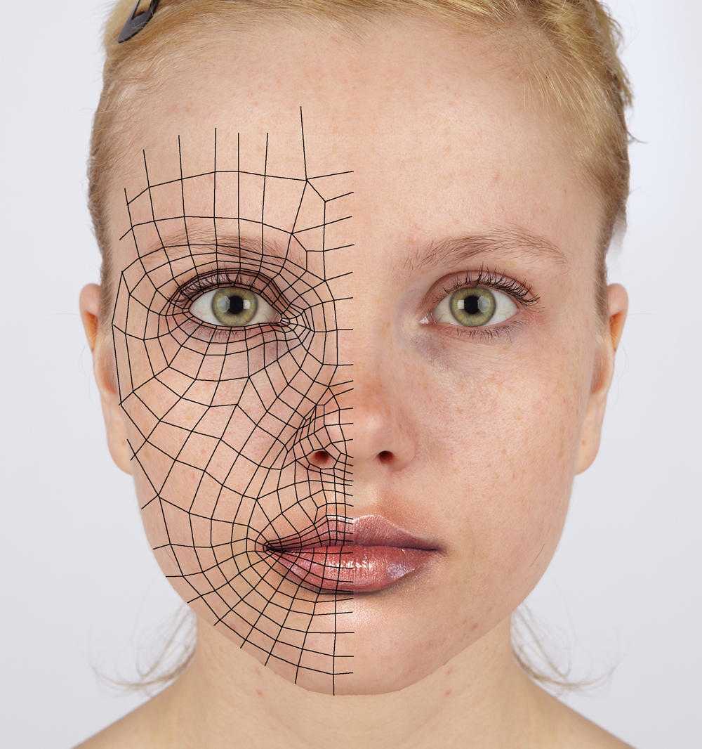 3d reference - face loops by Athey