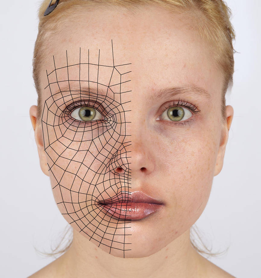 3d reference - face loops by Athey