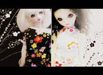 BJD - Cinemascope by trifoil