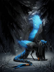 Snow-covered Introspection by fiachmara