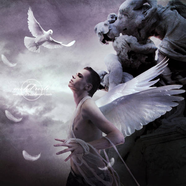 .:The Fallen II:. by moroka323