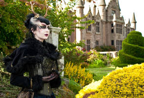 The Lady of Ecclescreig by Starkall